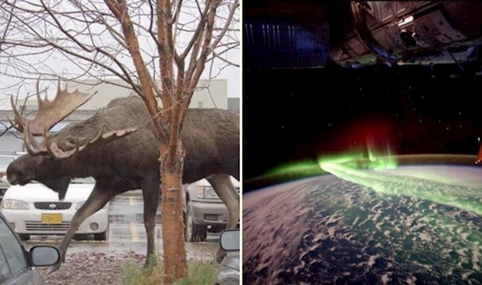 28 fotografija koje će vas istovremeno fascinirati i dirnuti