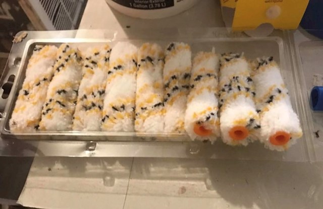 11. Sushi...ili?😁