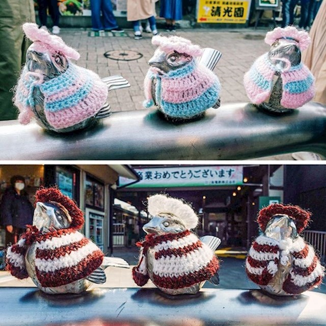 8. Jedna gospođa iz Japana koja živi u blizini metro stanice na kojoj su ovi slatki vrapčići odlučila im je napraviti kaputiće koje mijenja dva puta mjesečno!