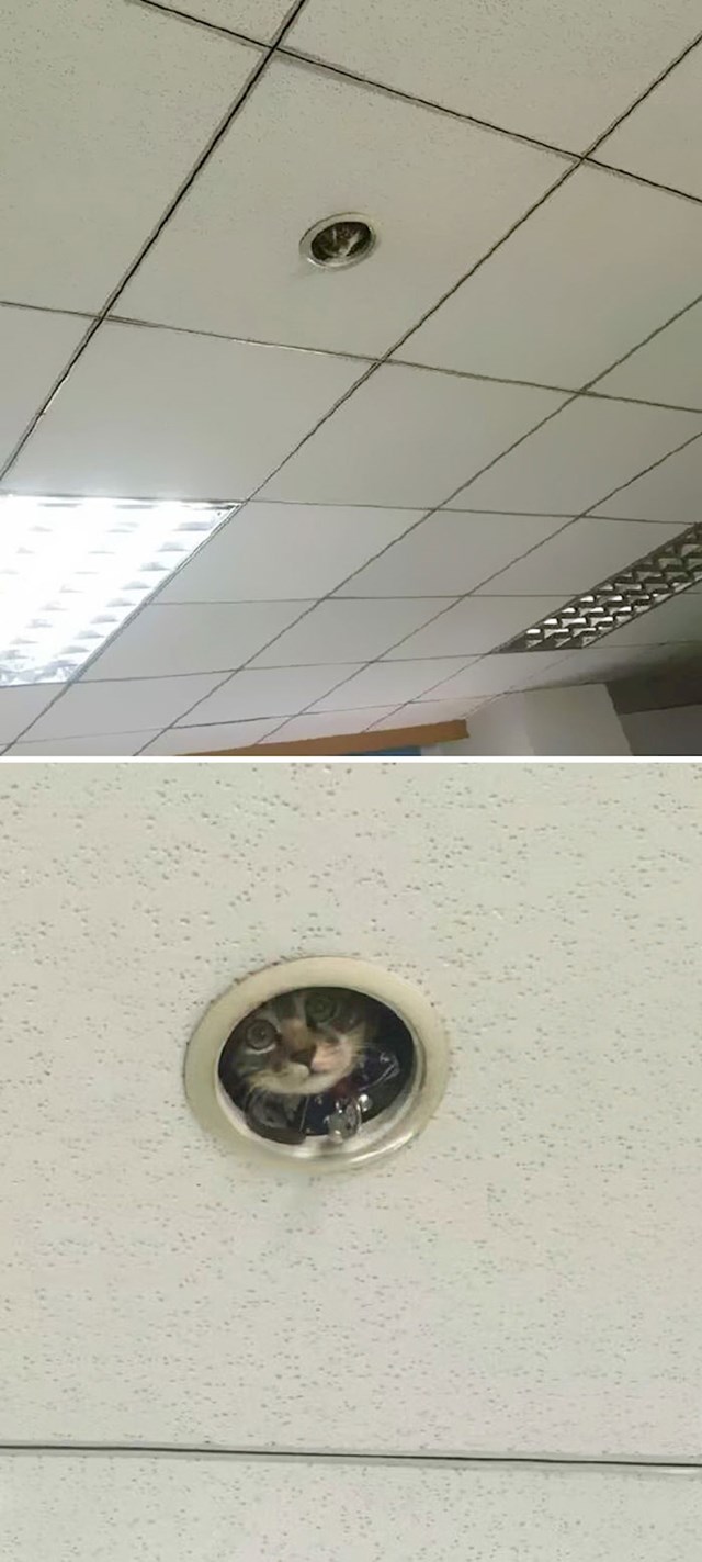 13.