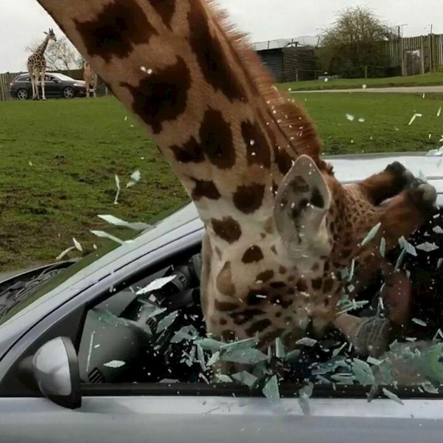 10.