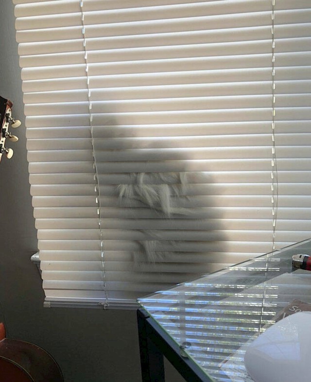 11.