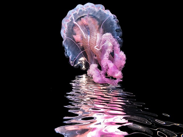 10. mjesto - Fabien Martinazzo