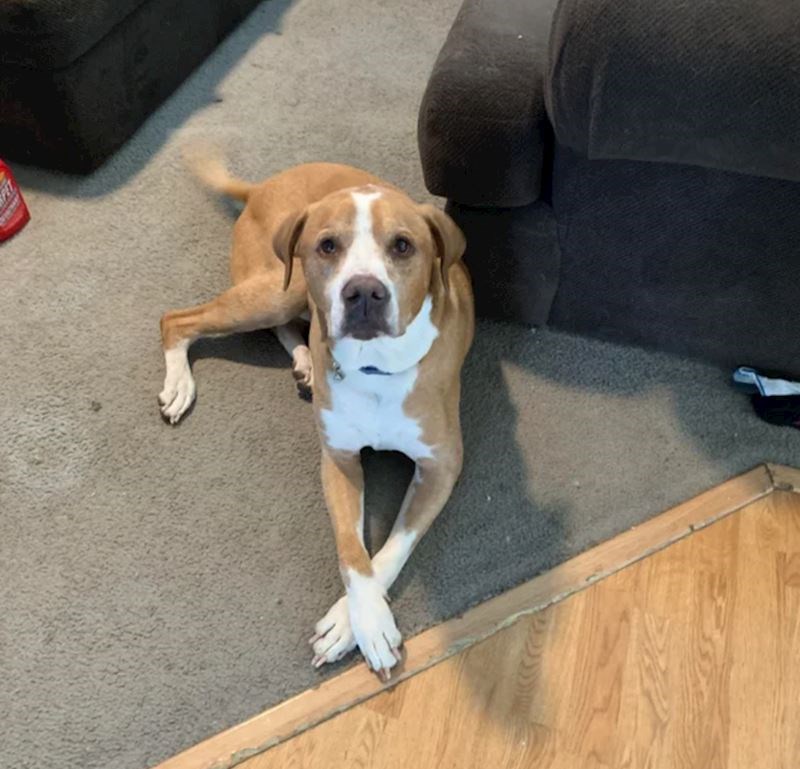 11. Pristojan gospodin