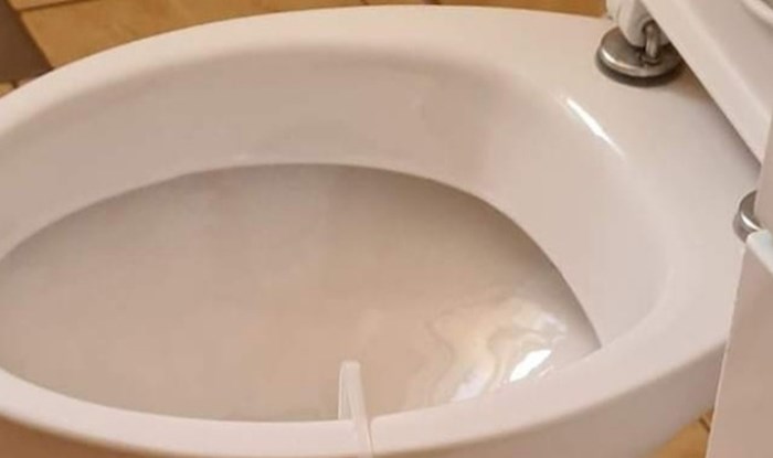 Vlasnici apartmana u Dalmaciji smislili su metodu štednje osvježivača wc-a i nasmijali internet