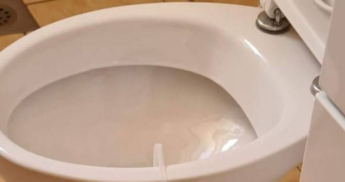 Vlasnici apartmana u Dalmaciji smislili su metodu štednje osvježivača wc-a i nasmijali internet