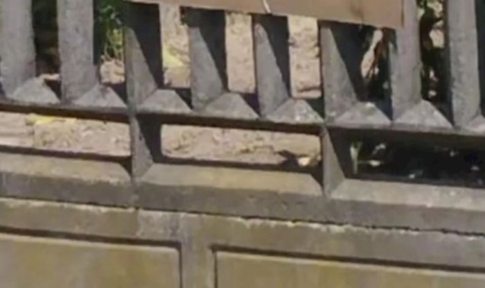Netko im je krao paprike pa su lopovima ostavili urnebesnu poruku na ogradi, morate vidjeti ovaj hit
