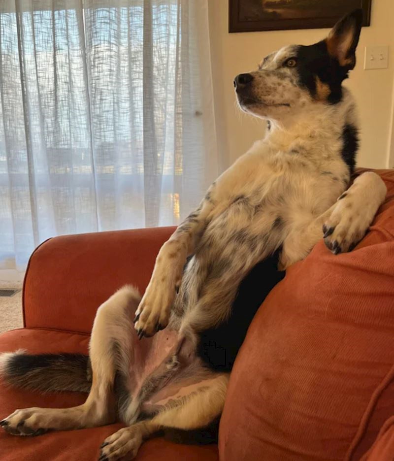 7. Zna se tko je gazda u kući