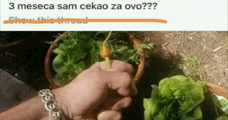 Požalio se na loše rezultate uzgoja mrkve, jedna žena ga je ponizila odgovorom i nasmijala tisuće