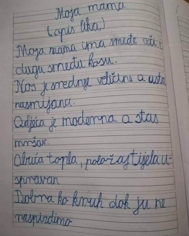 Klinac je u zadaćnici na urnebesan način opisao majku i skupio tisuće lajkova