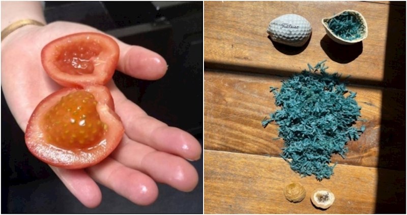 15 svakodnevnih stvari koje u sebi skrivaju zabavna iznenađenja