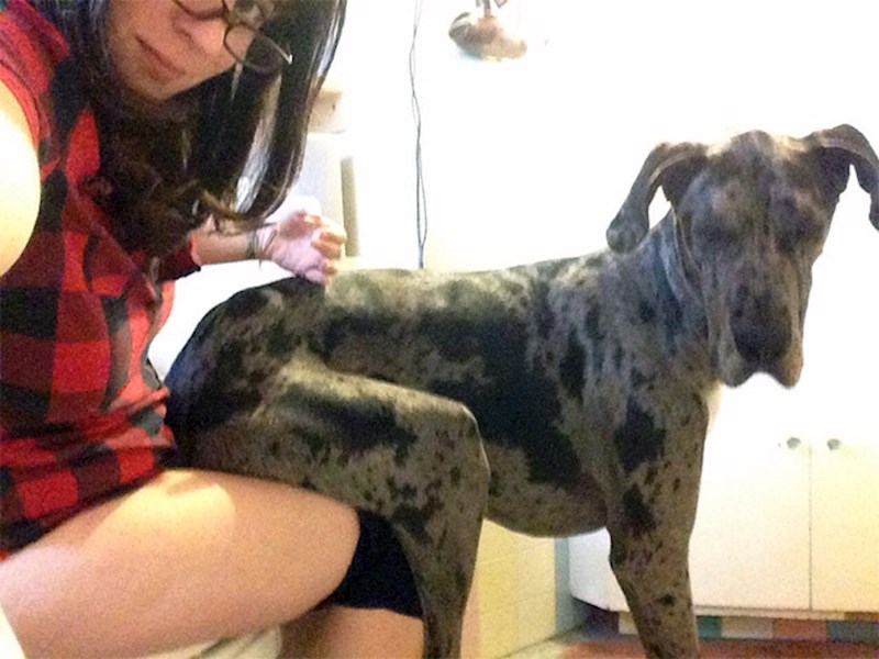 "I ja bi sjedio na WC-u, zašto ja to ne mogu?"