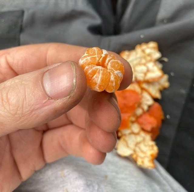 6. Mini mandarina.