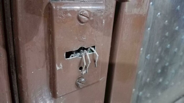 14. Pokušala je zaključati vrata, ali dočekalo ju je iznenađenje