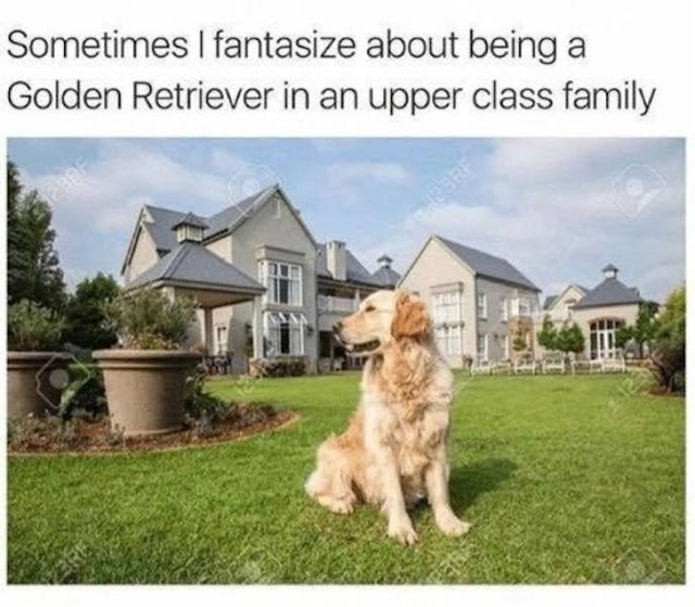 BONUS!😄