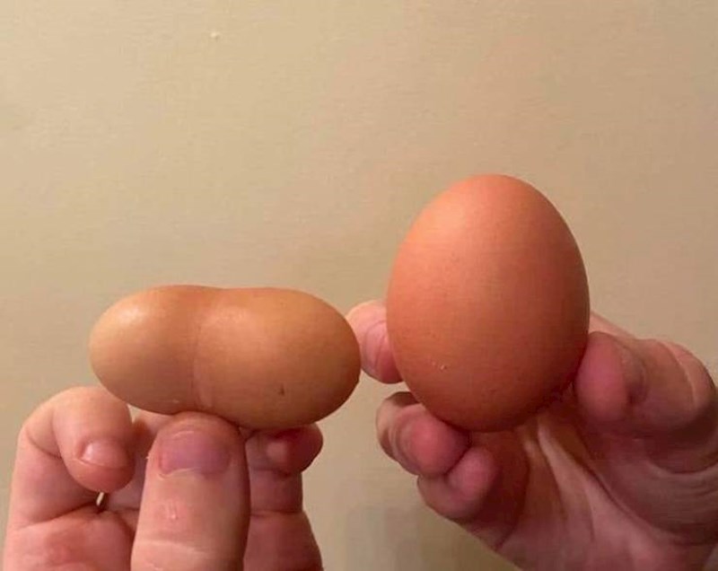 4. Kokoš moje bake snijela je dvostruko jaje