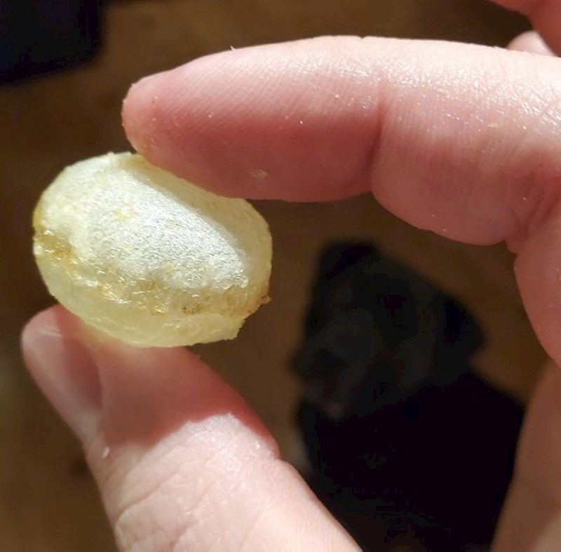 Ovo nije grozd, nego čips pun zraka.