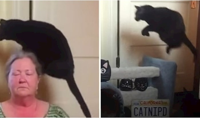 VIDEO Luda mačka se boji jednog dijela kuhinjskog poda i uvijek ga preskače