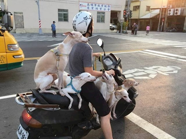 8.
