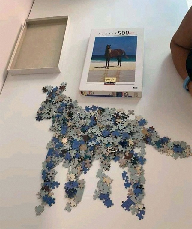 31.