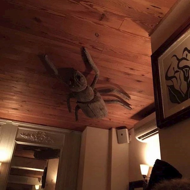 13.