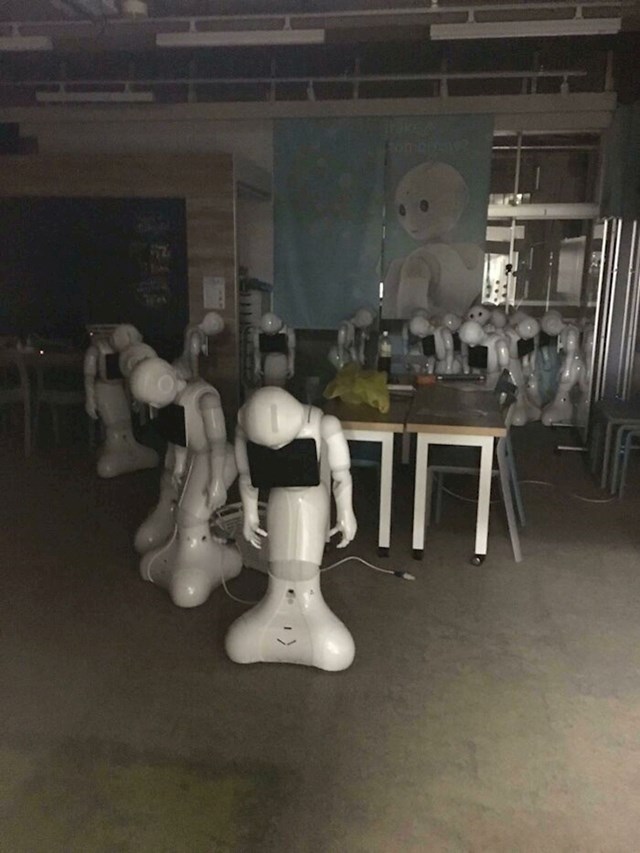 13.