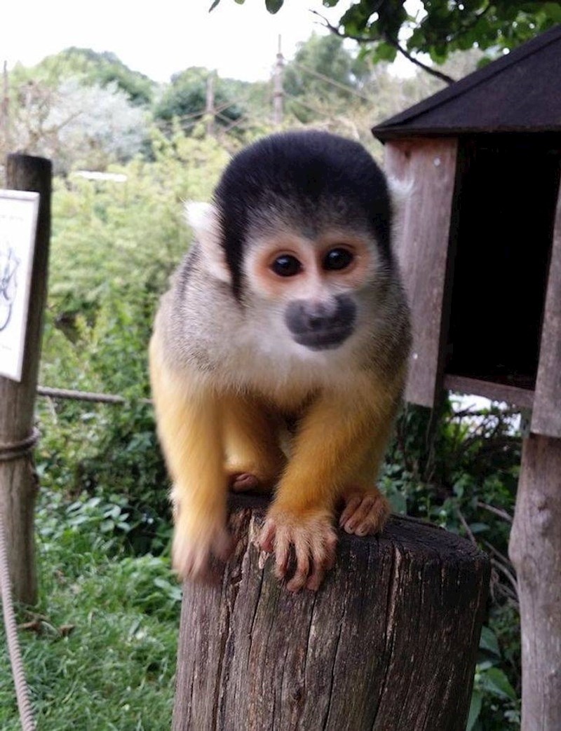 8. "U sljedećem trenutku je skočio na mene i ukrao mi vodu."
