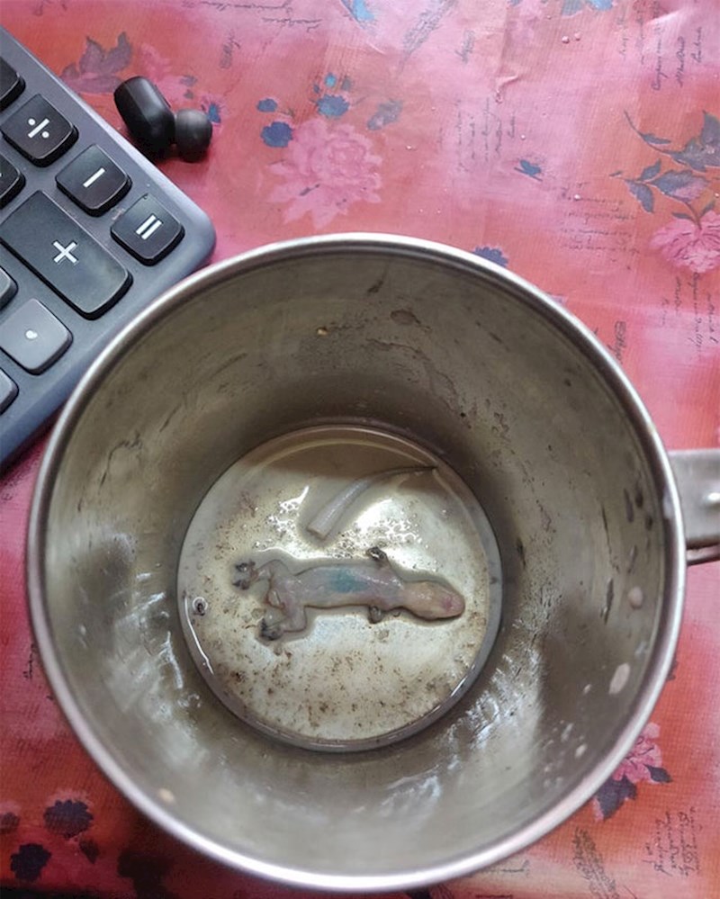 3. "Popio sam čaj do kraja usprkos tome što je bio čudnog ukusa. NI-KA-DA VIŠE!"