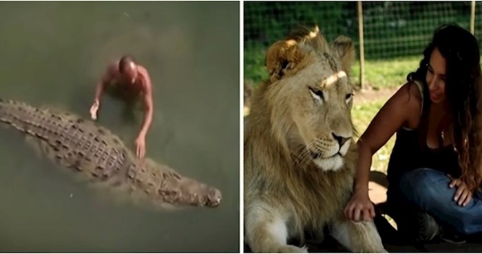 VIDEO Neobična prijateljstva između divljih životinja i ljudi