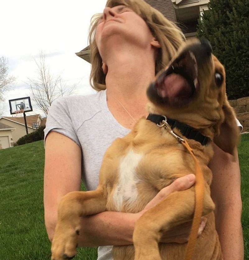 14. Savršen selfie sa psom