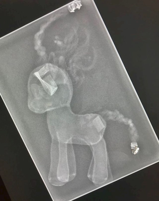 3. "Moja pacijentica nije mi dopustila da joj napravim rendgensku snimku sve dok prije toga nisam snimila njezinog ponija."