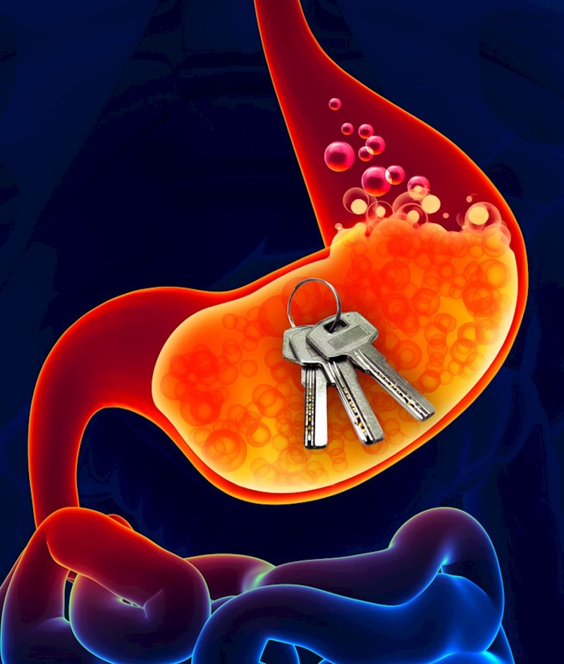 12. Želučana kiselina može rastopiti metal.