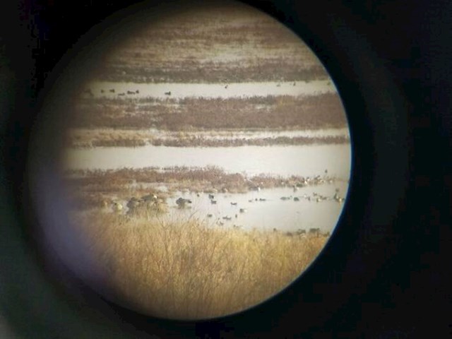 17. Jupiter