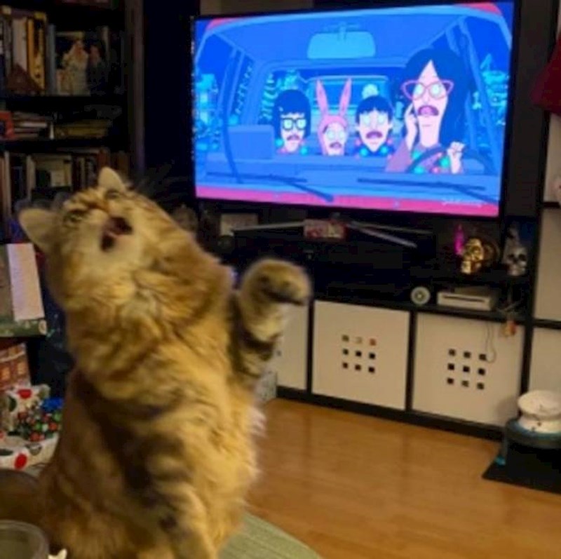 15. I ona je kao lik iz crtića😆