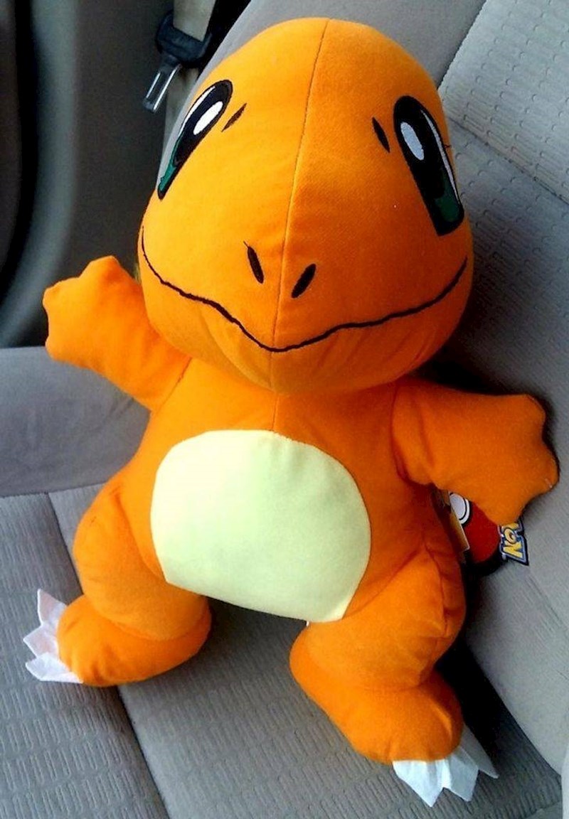 13. Moja supruga imala je loš dan. Otišao sam do automata na kojem već mjesecima bezuspješno pokušava osvojiti ovog plišanog Charmadera i - uspio! Odmah se oraspoložila!