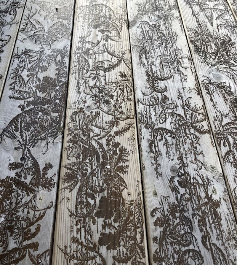 3. Umjetnica priroda na djelu. Stol kojeg je prekrio mraz izgleda kao da je ukrašen.😍