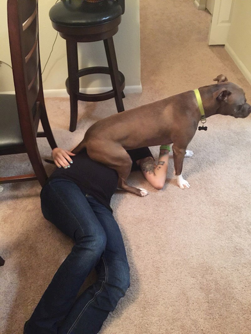 "Jako ugodan trbušćić, baš za lijepo se namjestiti."