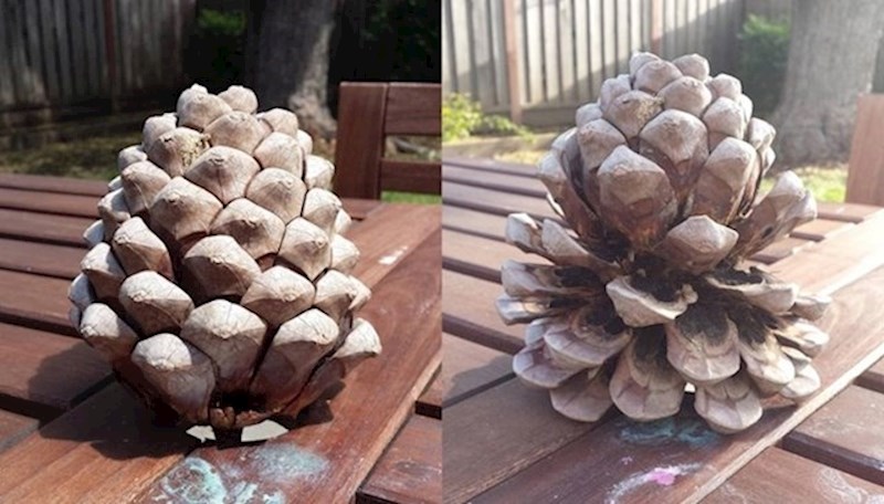 18. Ovaj češer otvara se i zatvara ovisno o vremenskim prilikama