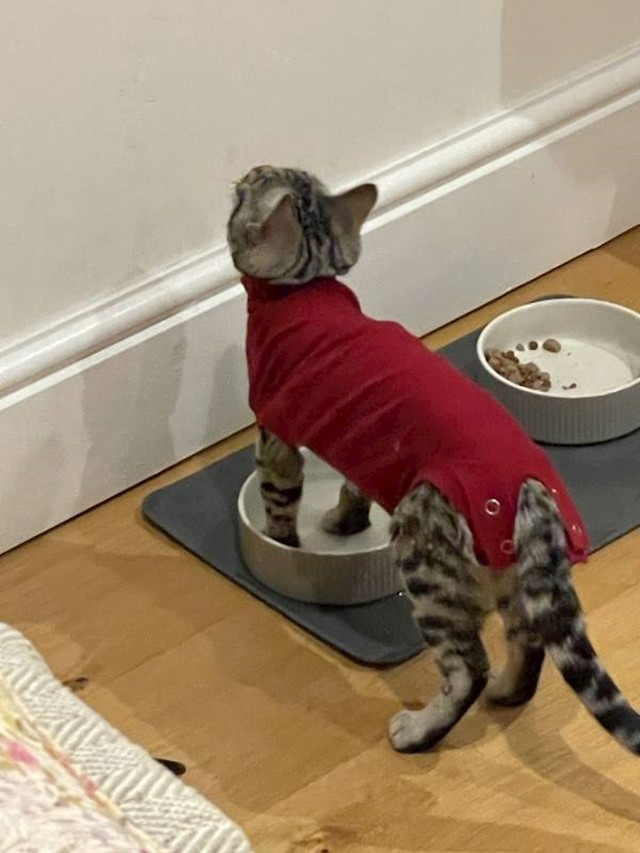 13.