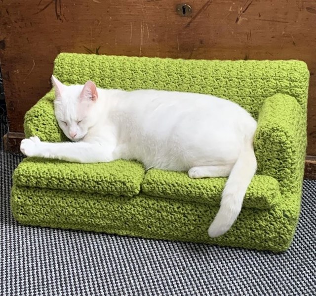 11. Maca obožava svoj novi krevetić