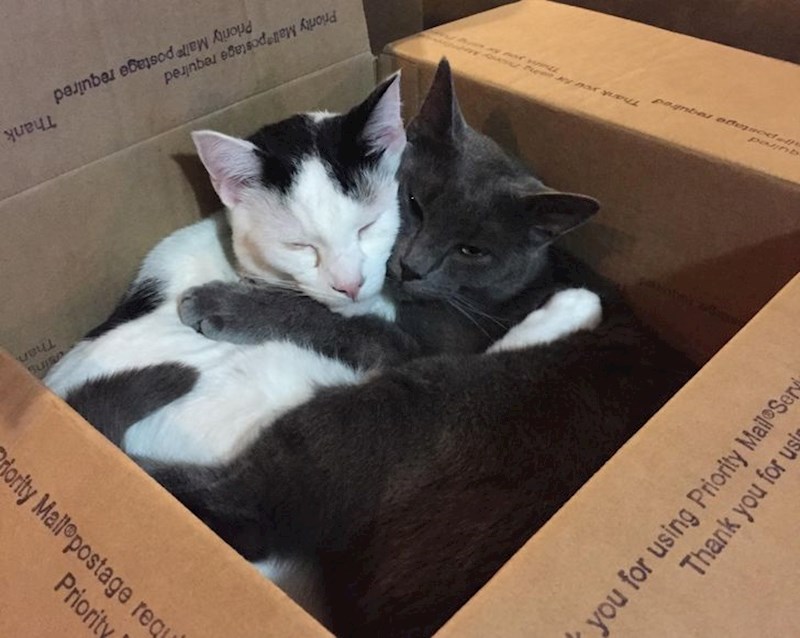 10. Zajedno sve lakše podnose.