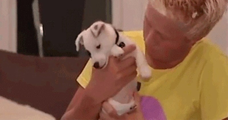 Činilo se kao da psić uživa u maženju, ali sve se u sekundi promijenilo