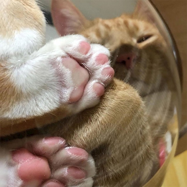 18.