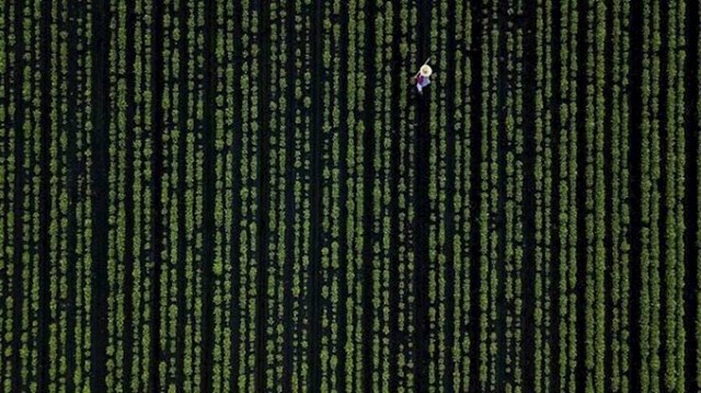 Scena iz Matrixa.