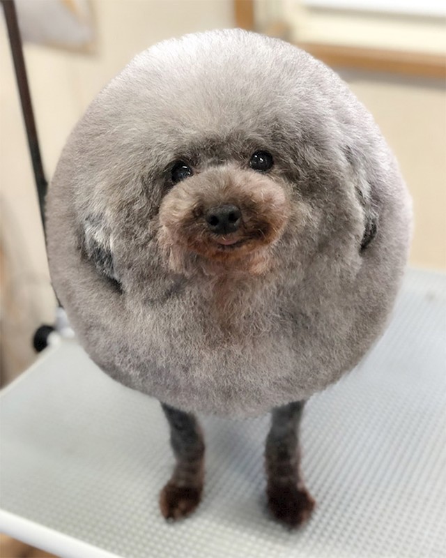 1.