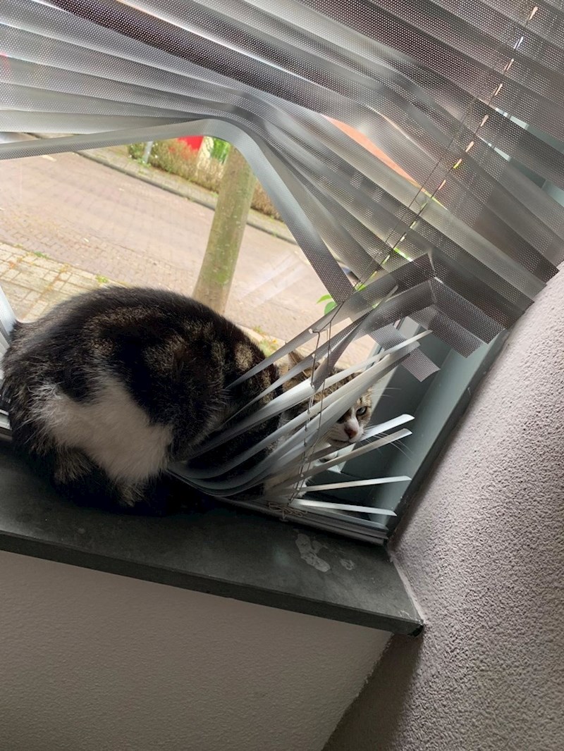 9. Ovo izgleda kao udobno mjesto.