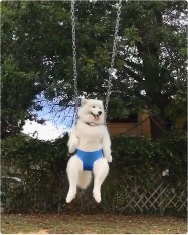 15.