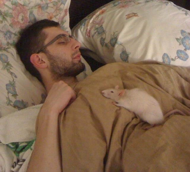 15. "Moj ljubimac štakor je bolestan i ostalo mu je nekoliko dana života. Samo želi biti uz mene i spavati na krevetu..."