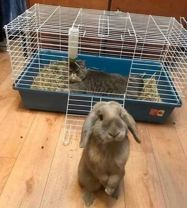11.