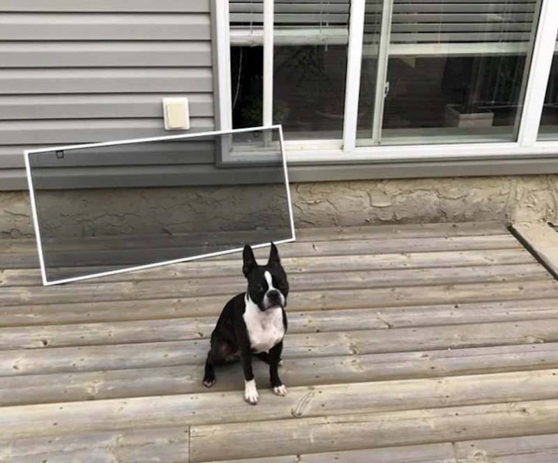 17. Dosadilo mu je biti zatvoren unutra